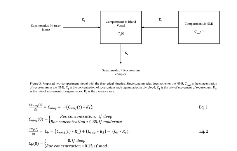  neuromuscular blockade reversal math model.